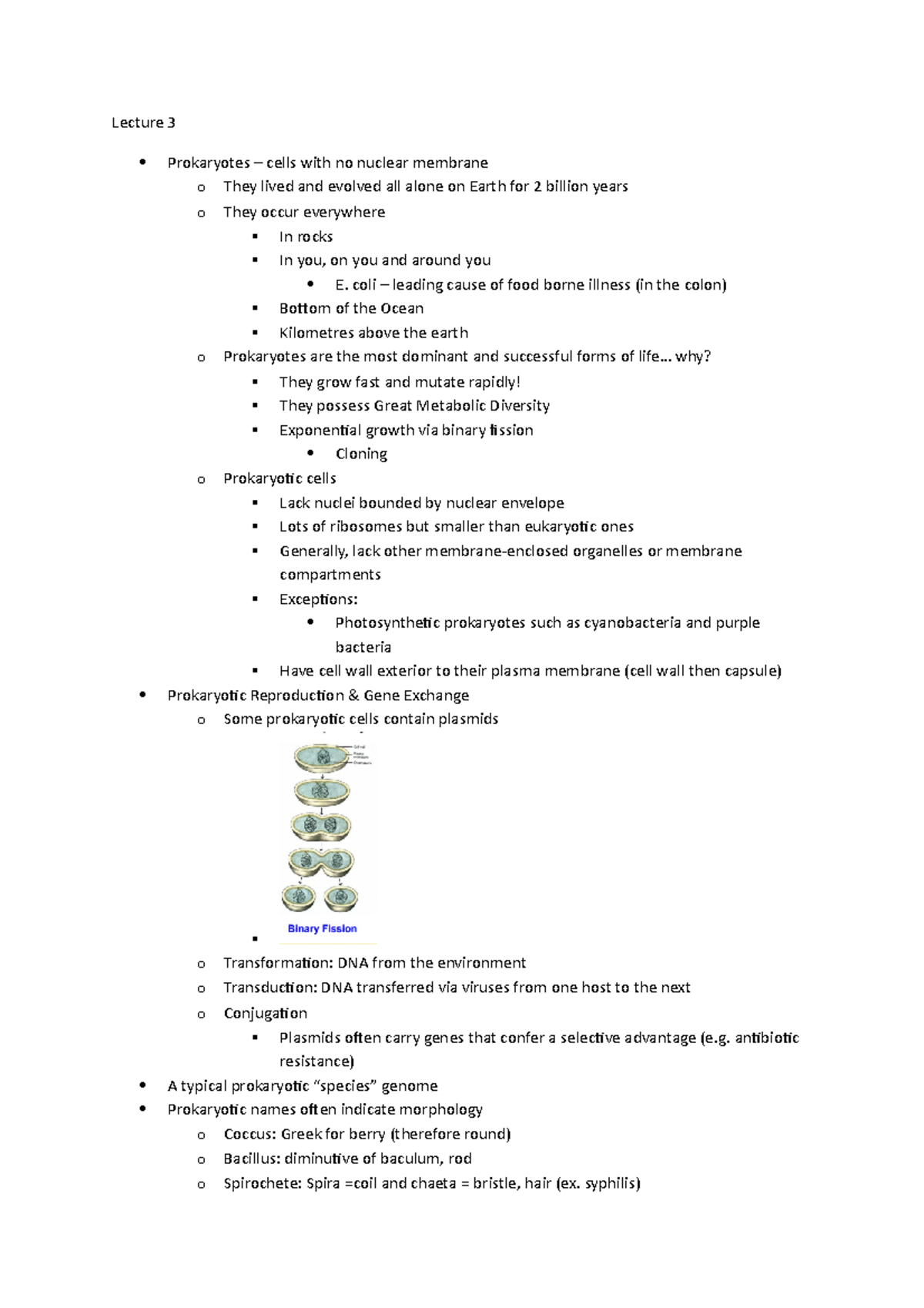 BIO 2137 Lecture 3 - Lecture 3 Prokaryotes – cells with no nuclear ...