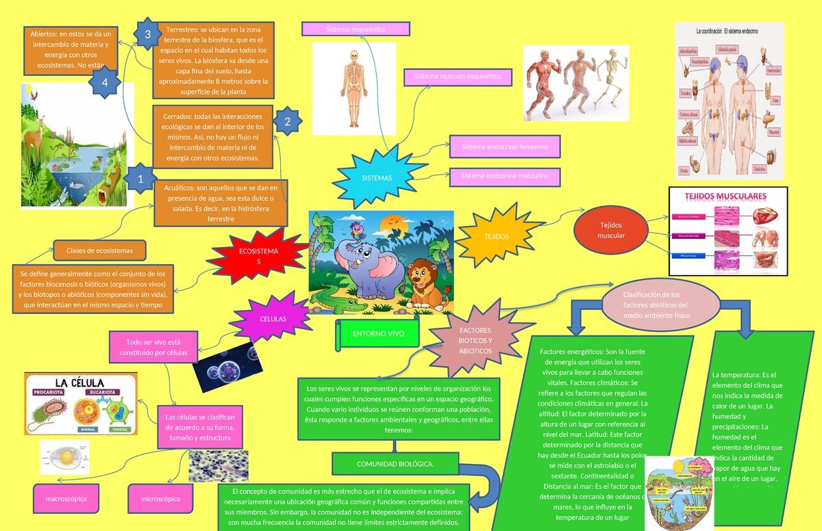 MAPA Mental Entorno VIVO - ma CELULAS TEJIDOS FACTORES BIOTICOS Y ...