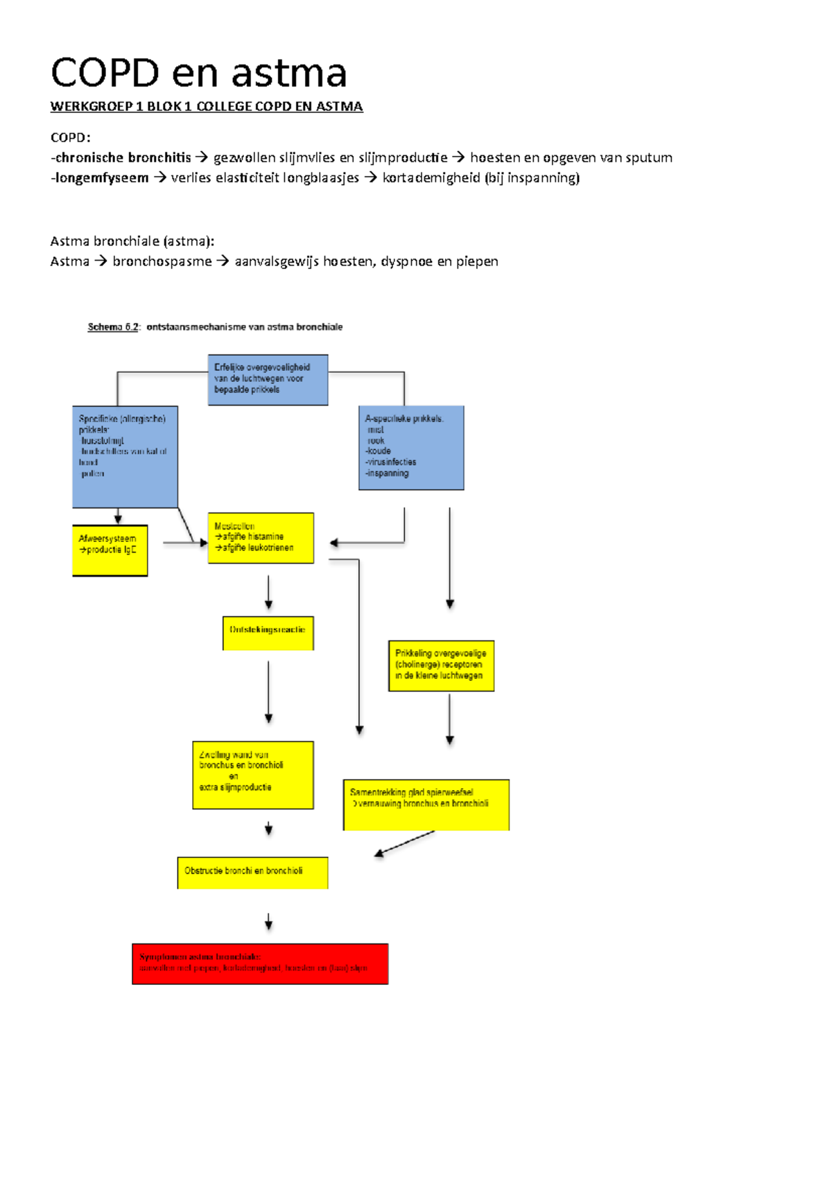 Samenvatting AFP Leerjaar 2 Kennislijn Chronisch Zieken - Anatomie En ...