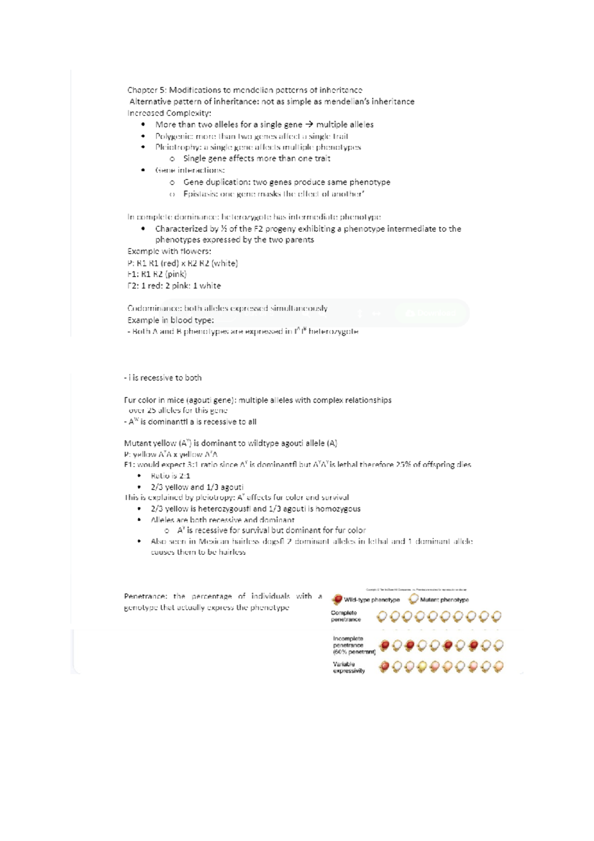 Chapter 5 - Professor Croshaw Lecture Notes in detail and explained ...