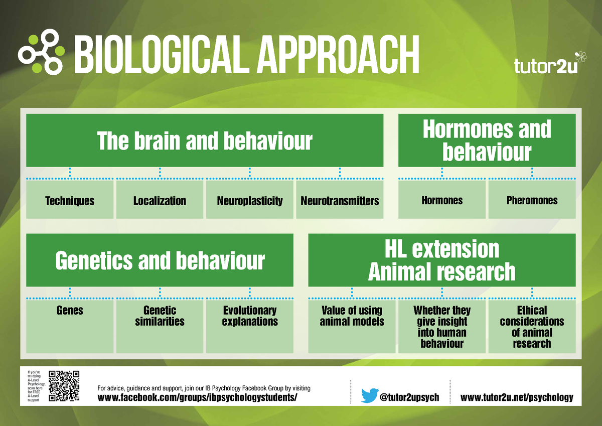 topic-posters-paper-biological-approach-the-brain-and-behaviour