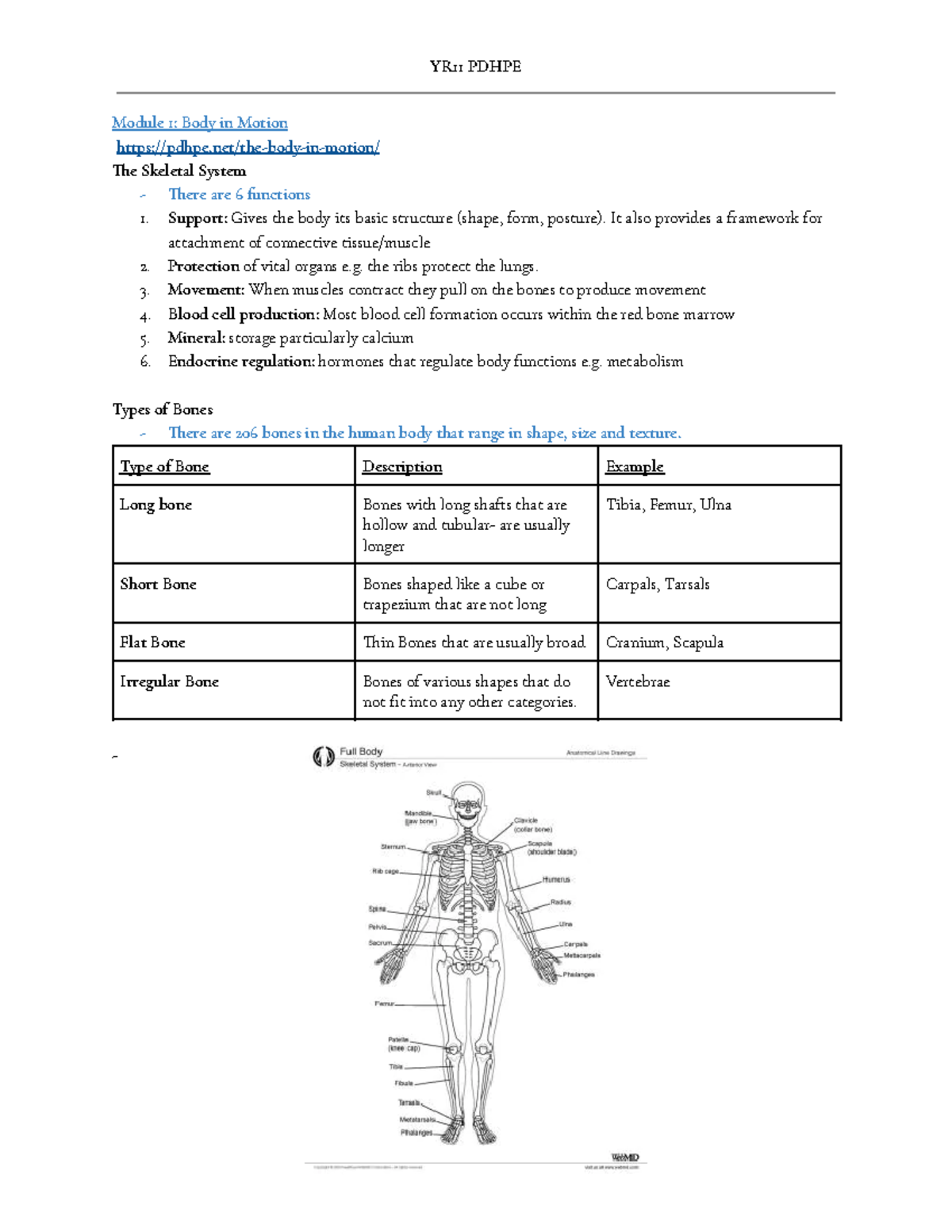 Yr 11 Pdhpe - Module 1: Body in Motion pdhpe/the-body-in-motion/ e ...