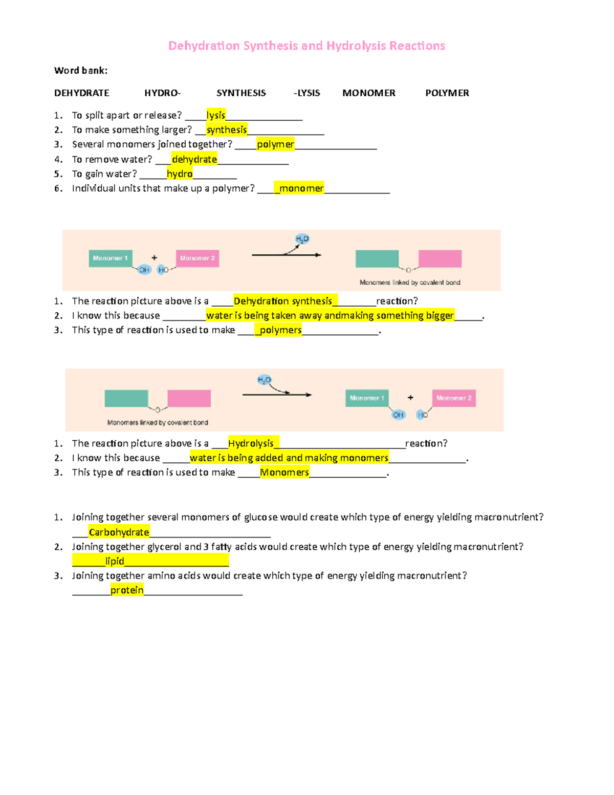 dehydration-synthesis-and-hydrolysis-reactions-this-type-of-reaction