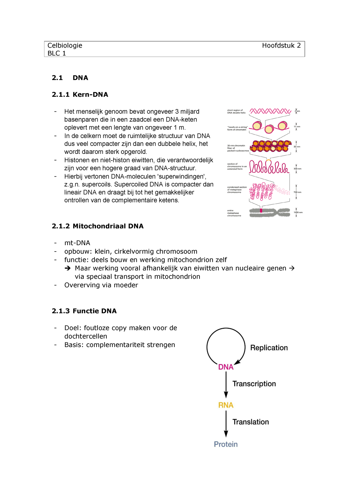 Samenvatting Celbiologie Hoofdstuk 2 - Celbiologie Hoofdstuk 2 BLC 1 1 ...