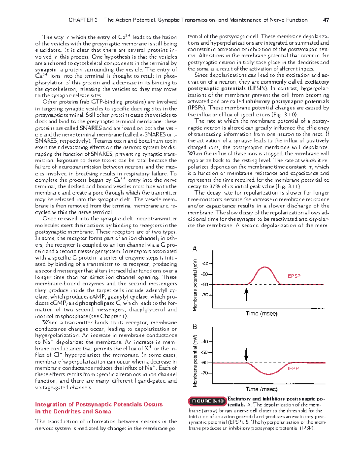 Medical-physiology-18 - The way in which the entry of Ca 2 leads to the ...