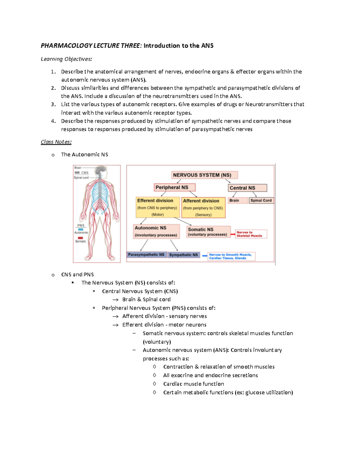 Pharm Lecture 3 - Introduction to the ANS - PHARMACOLOGY LECTURE THREE ...