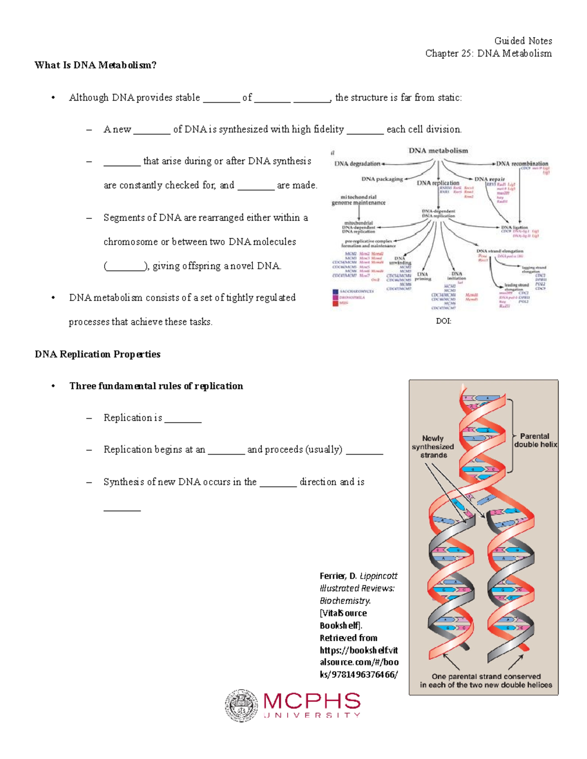 Chapter 25 DNA Metabolism Guided Notes - DOI: What Is DNA Metabolism ...