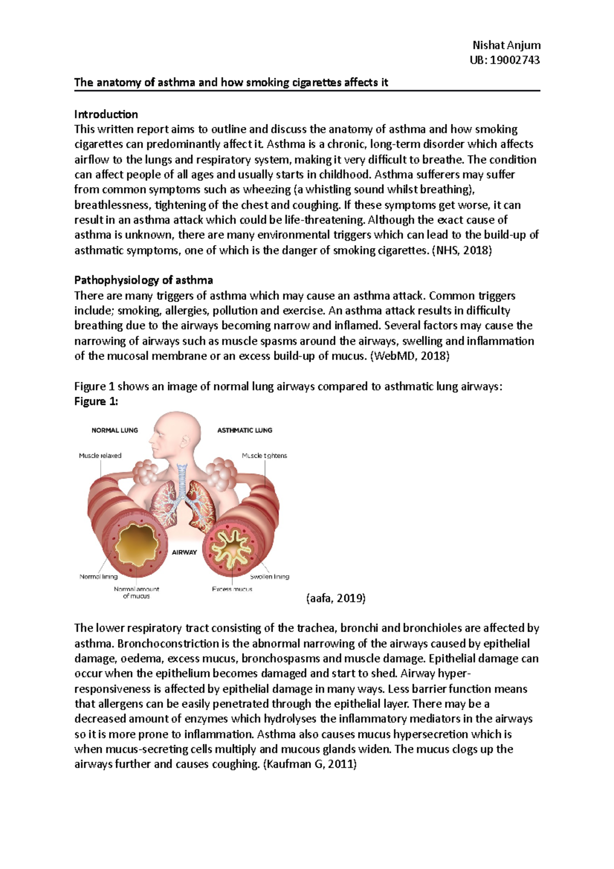 Pathophysiology of asthma and how smoking affects it - UB: 19002743 The ...