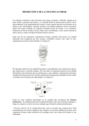 OsteoSalud CMB  Biomecánica de la columna lumbar