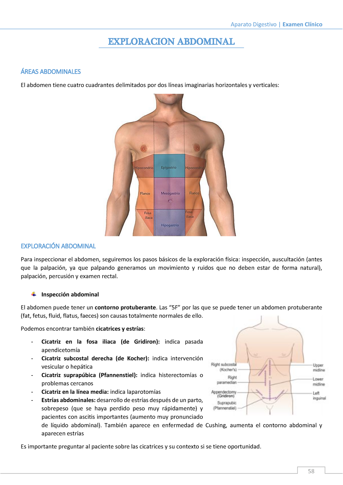 3 Aparato Digestivo Inspección Abdominal El Abdomen Puede Tener Un