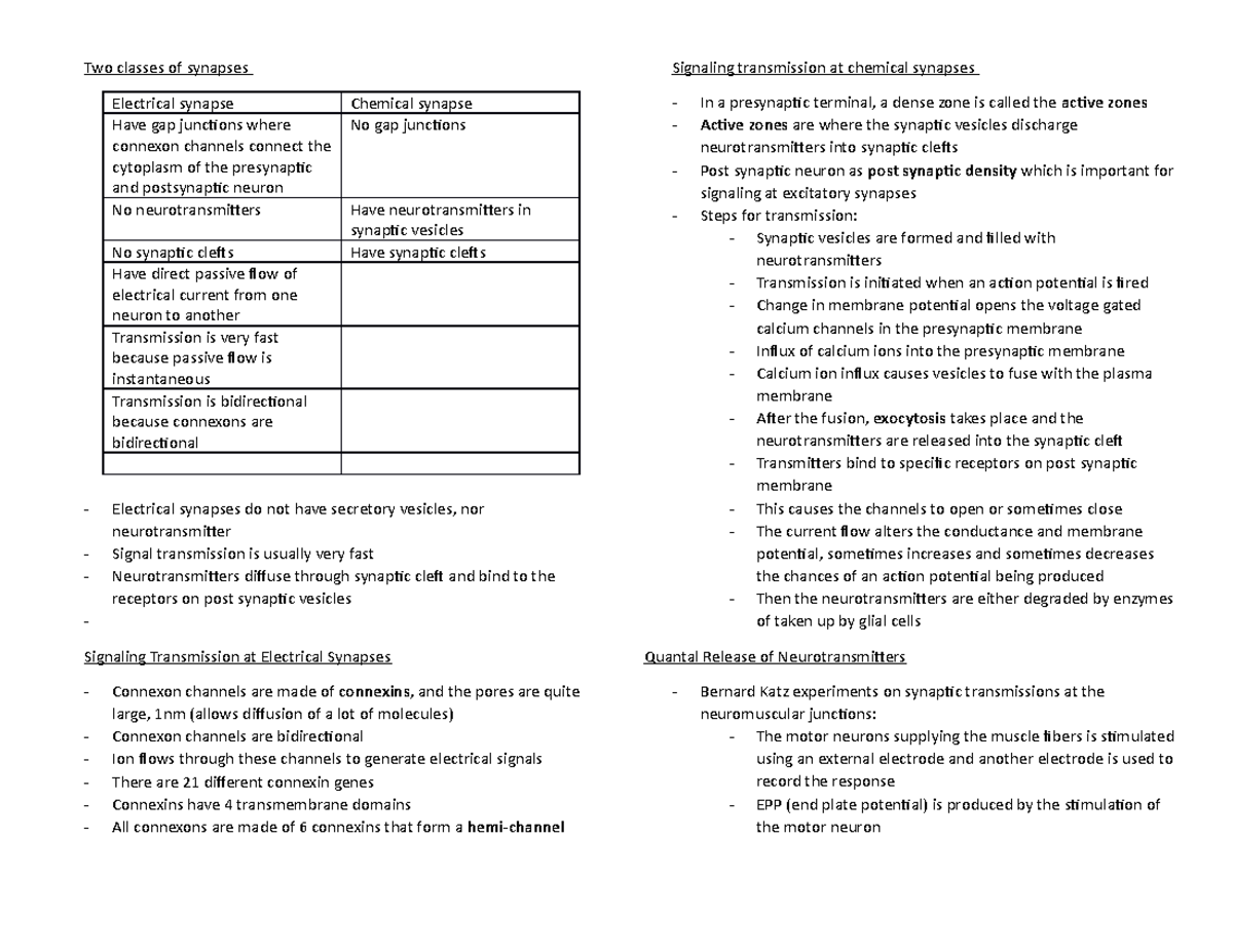 Chapter 5 LECTURE NOTES Two classes of synapses Electrical synapse