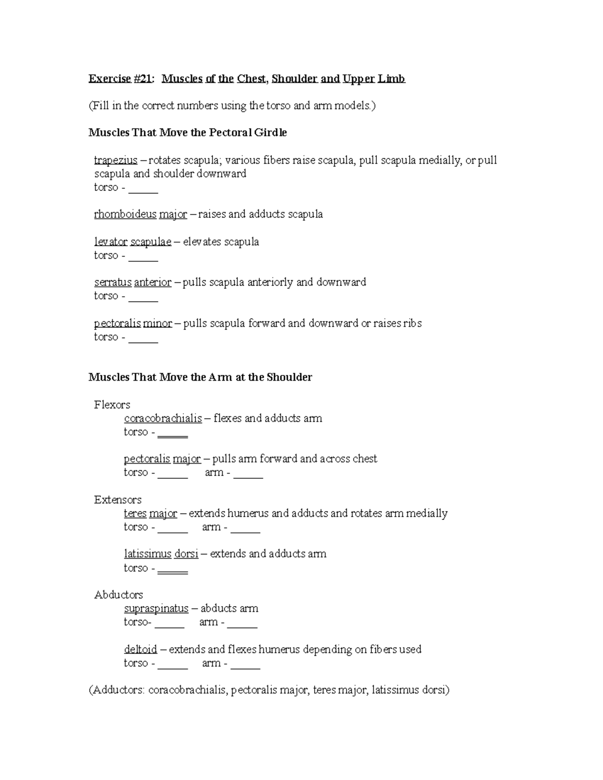 Muscle List Exercise 21 Chest Shoulde Exercise 21 Muscles of the