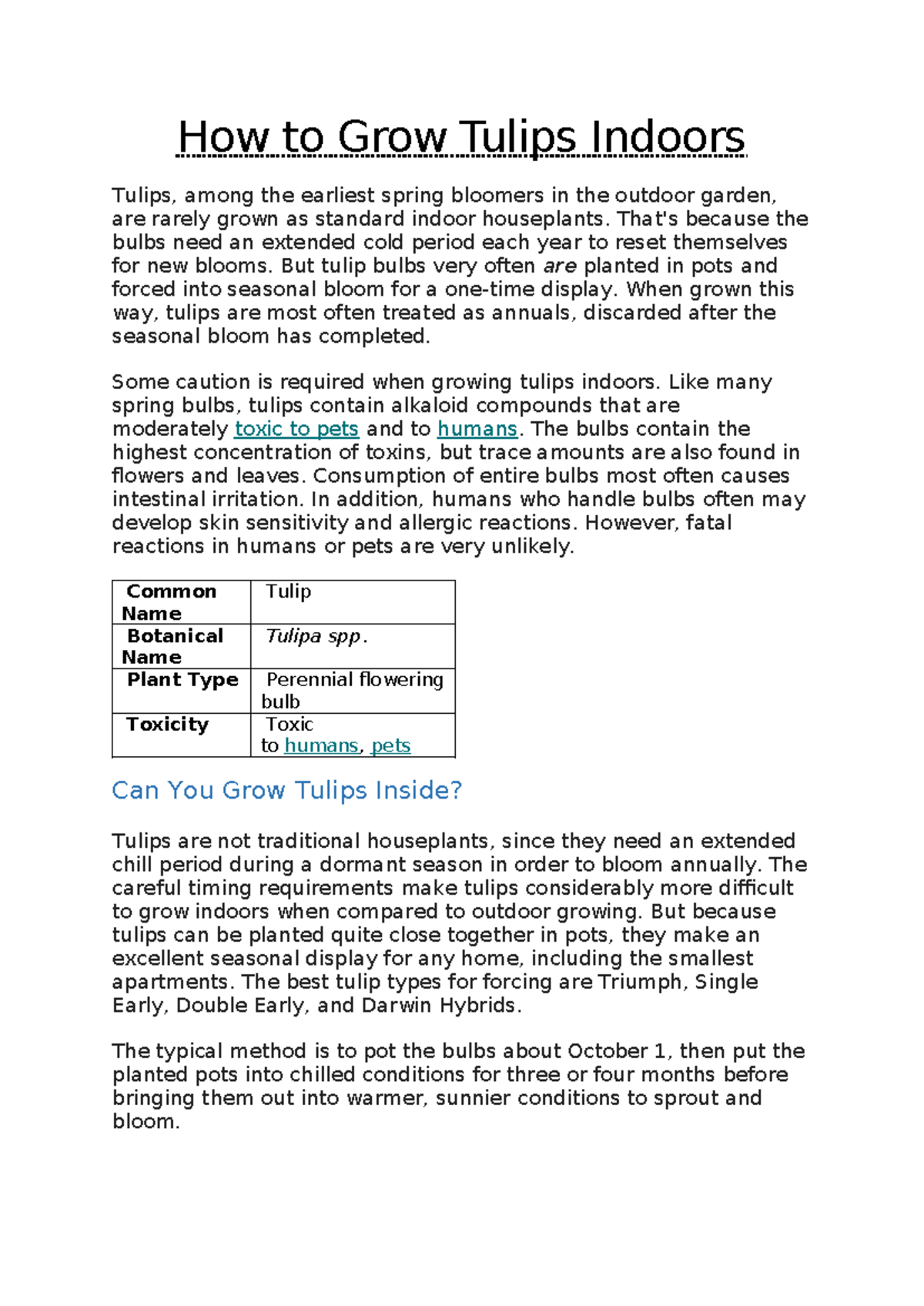 How to Grow Tulips Indoors How to Grow Tulips Indoors Tulips, among