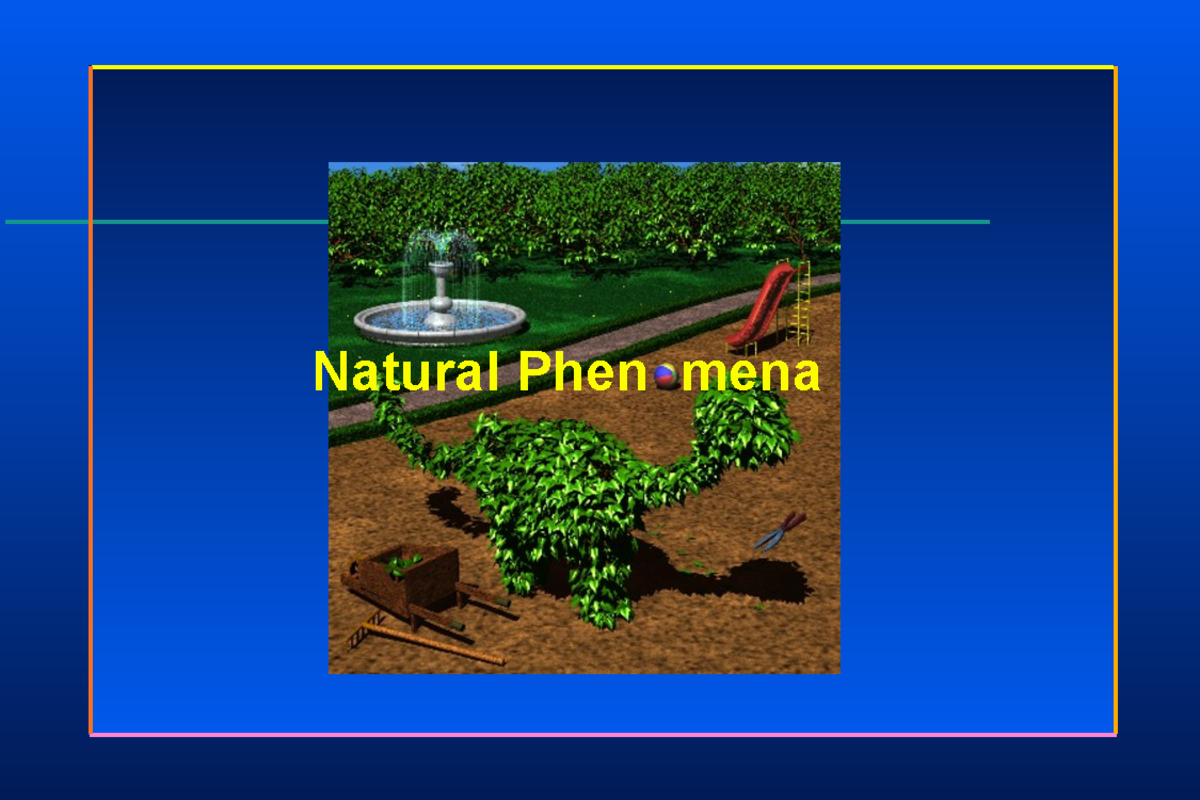 9. Natural phenomena - Natural Phen mena Gen. 1 Plants (like fractals ...