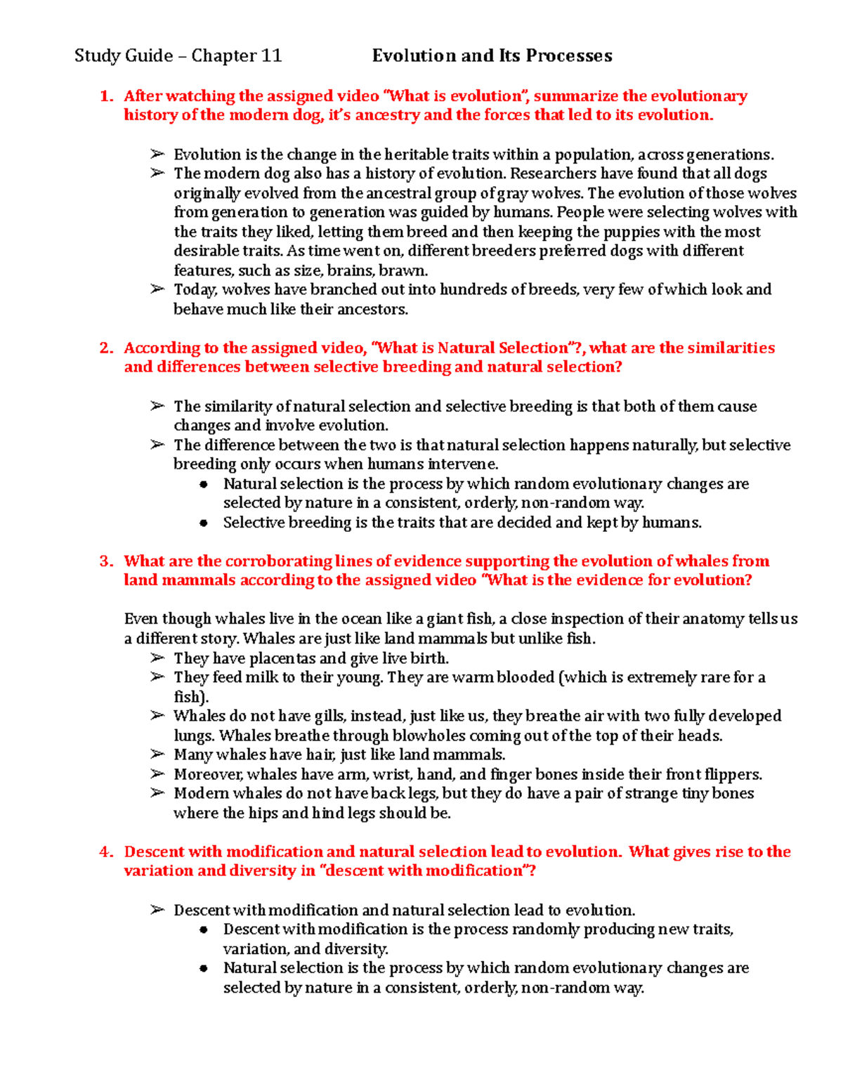 Chapter 11 Study Guide - Professor: Jean Replicon Course: Intro to ...