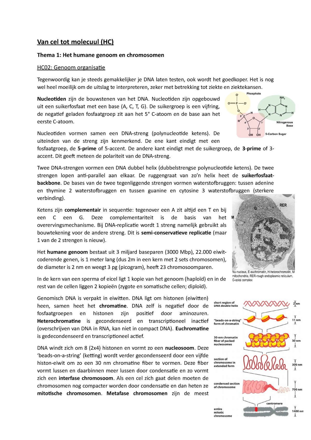 Van Cel Tot Molecuul Thema 1 Van Cel Tot Molecuul Hc Thema 1 Het