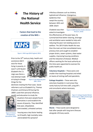 history of the nhs essay