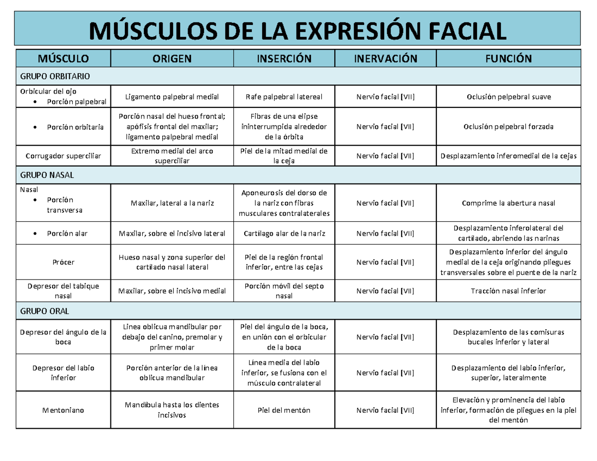 musculos-expresion-facial-m-sculo-origen-inserci-n-inervaci-n-funci-n