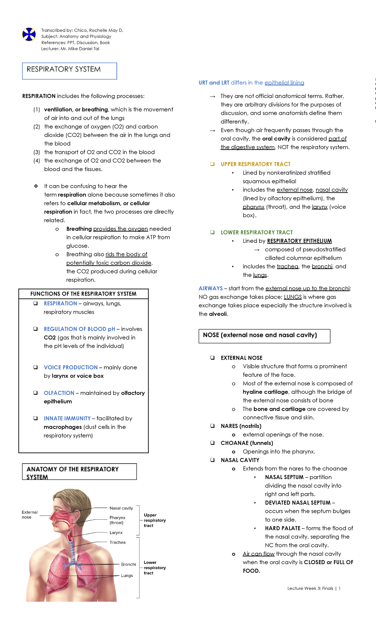 Anatomy and Physiology Respiratory System - Subject: Anatomy and ...