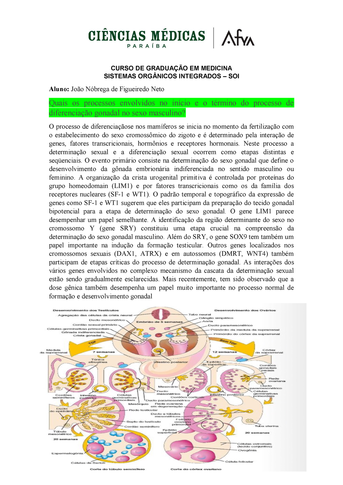Diferenciação Gonodal Curso De GraduaÇÃo Em Medicina Sistemas OrgÂnicos Integrados Soi Aluno 3332