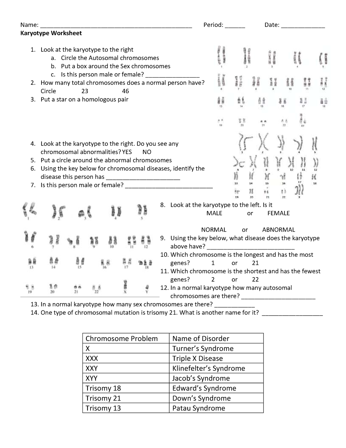 37-biology-karyotype-worksheet-answers-pdf-juanprestyn