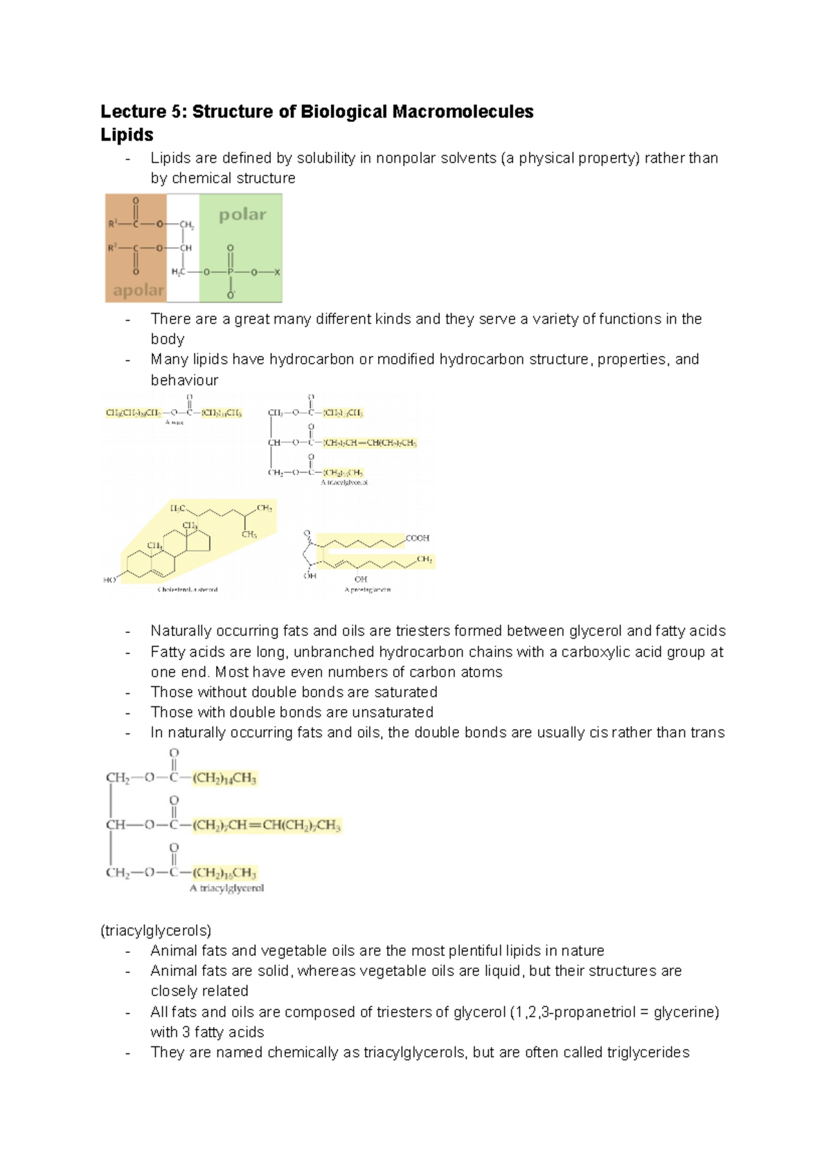 Lect 5 - structure of biological macromolecules - Lecture 5: Structure ...