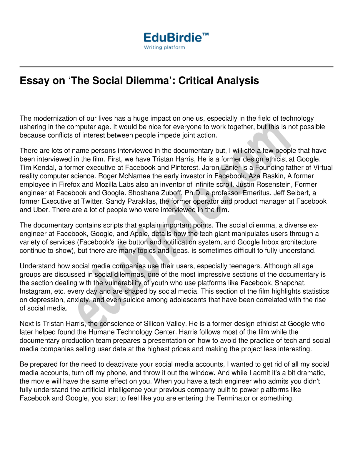 critical analysis social work essay