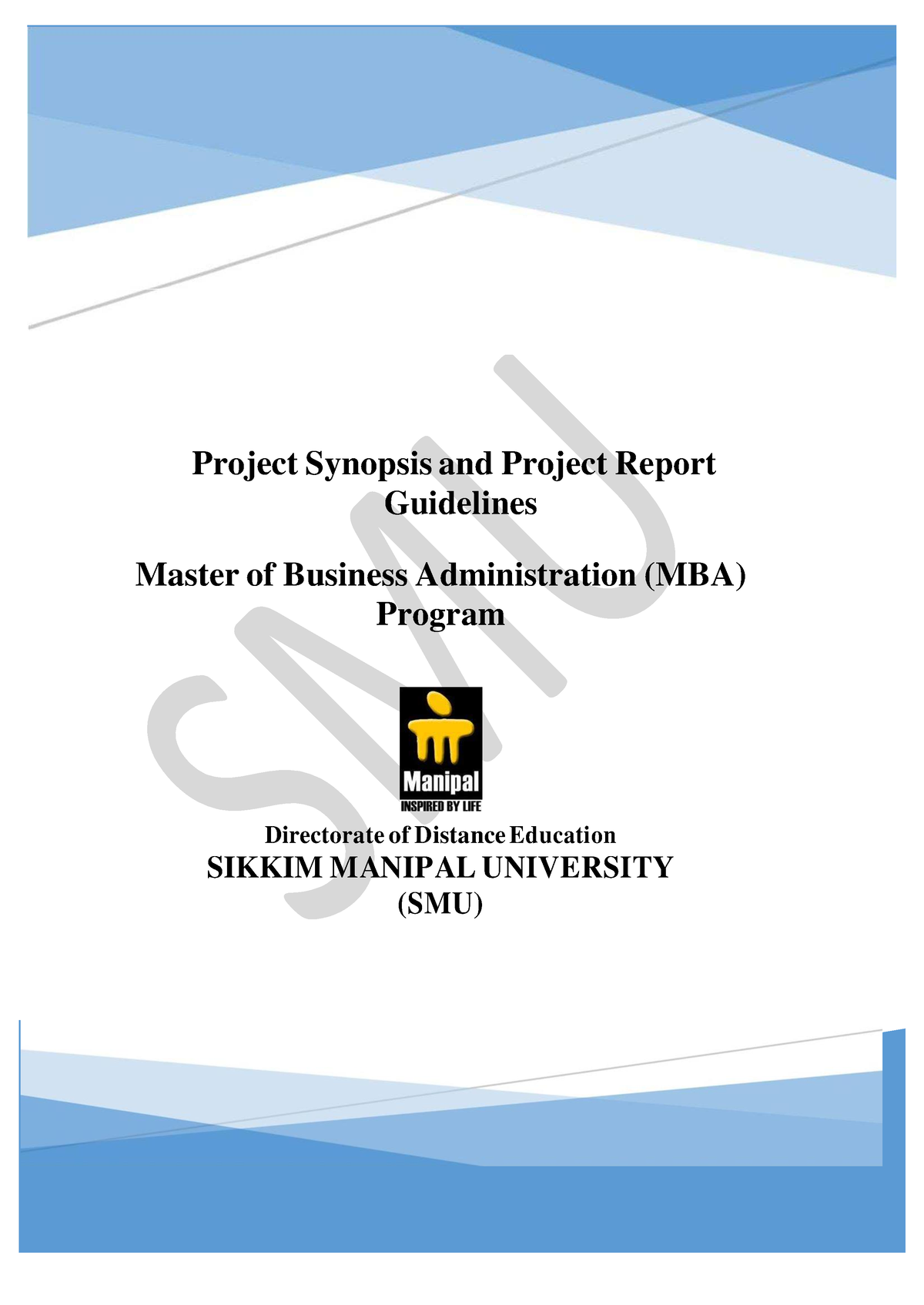 mba project literature review