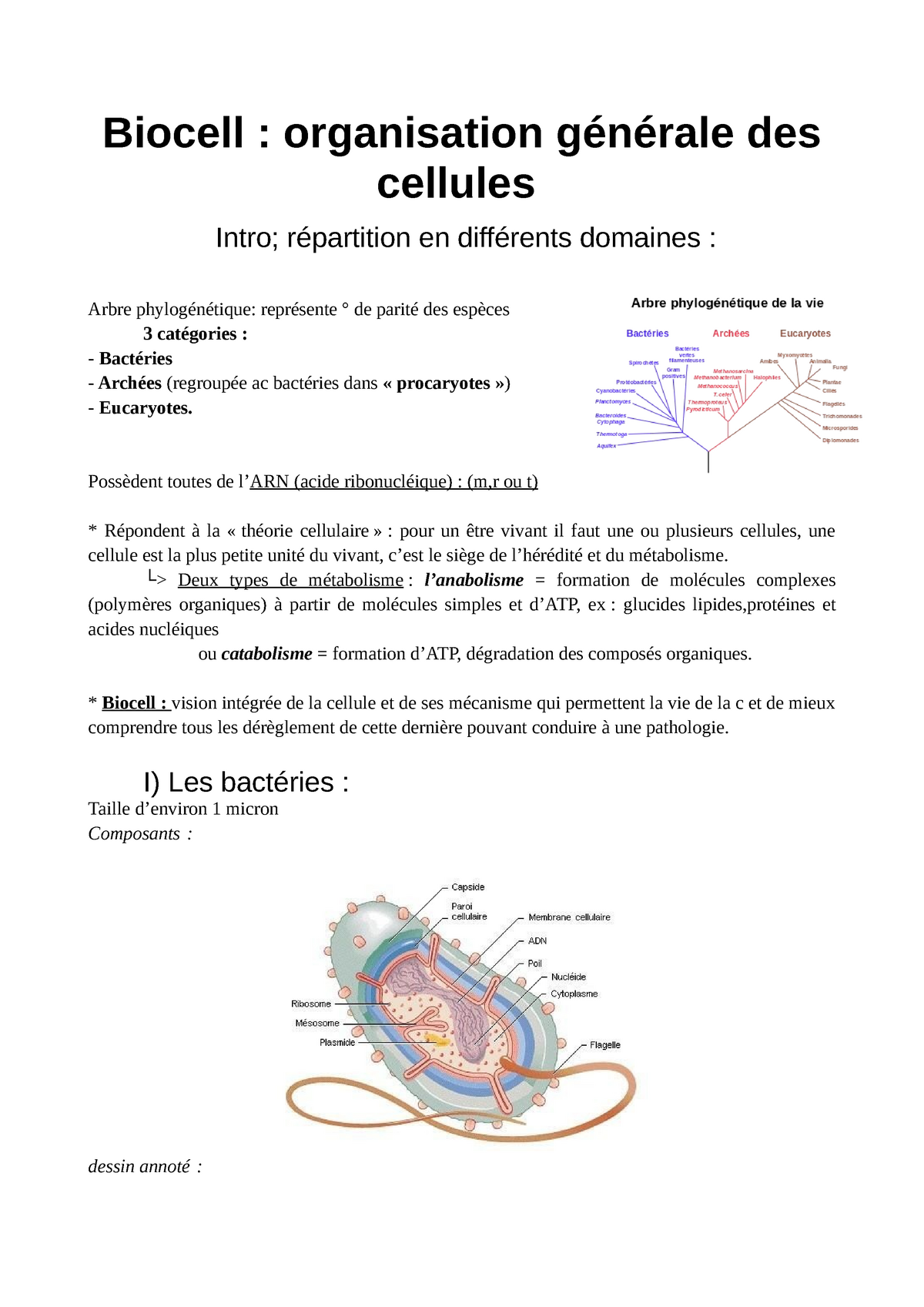 Intro à La Biocell - Biocell : Organisation Générale Des Cellules Intro ...