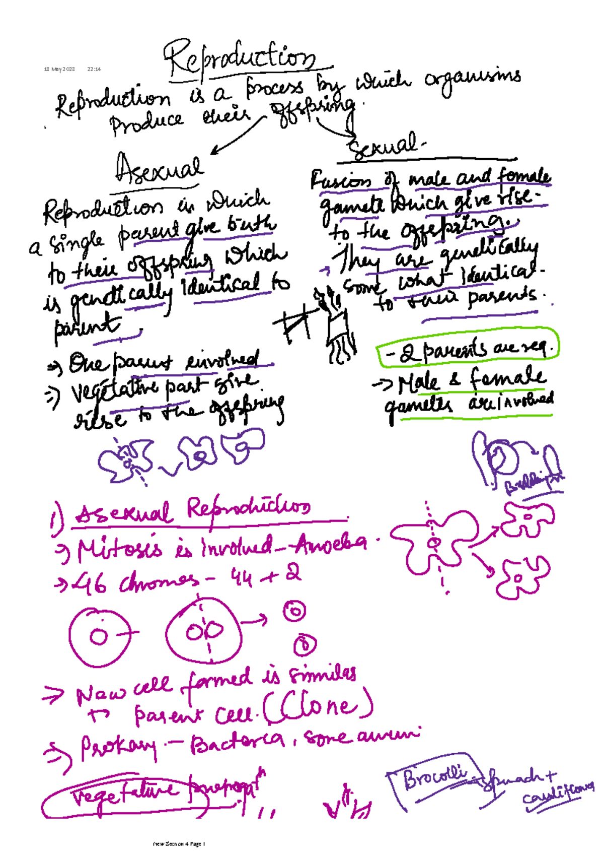 Reproduction Notes - Biology HL - 18 May 2023 22: - Studocu
