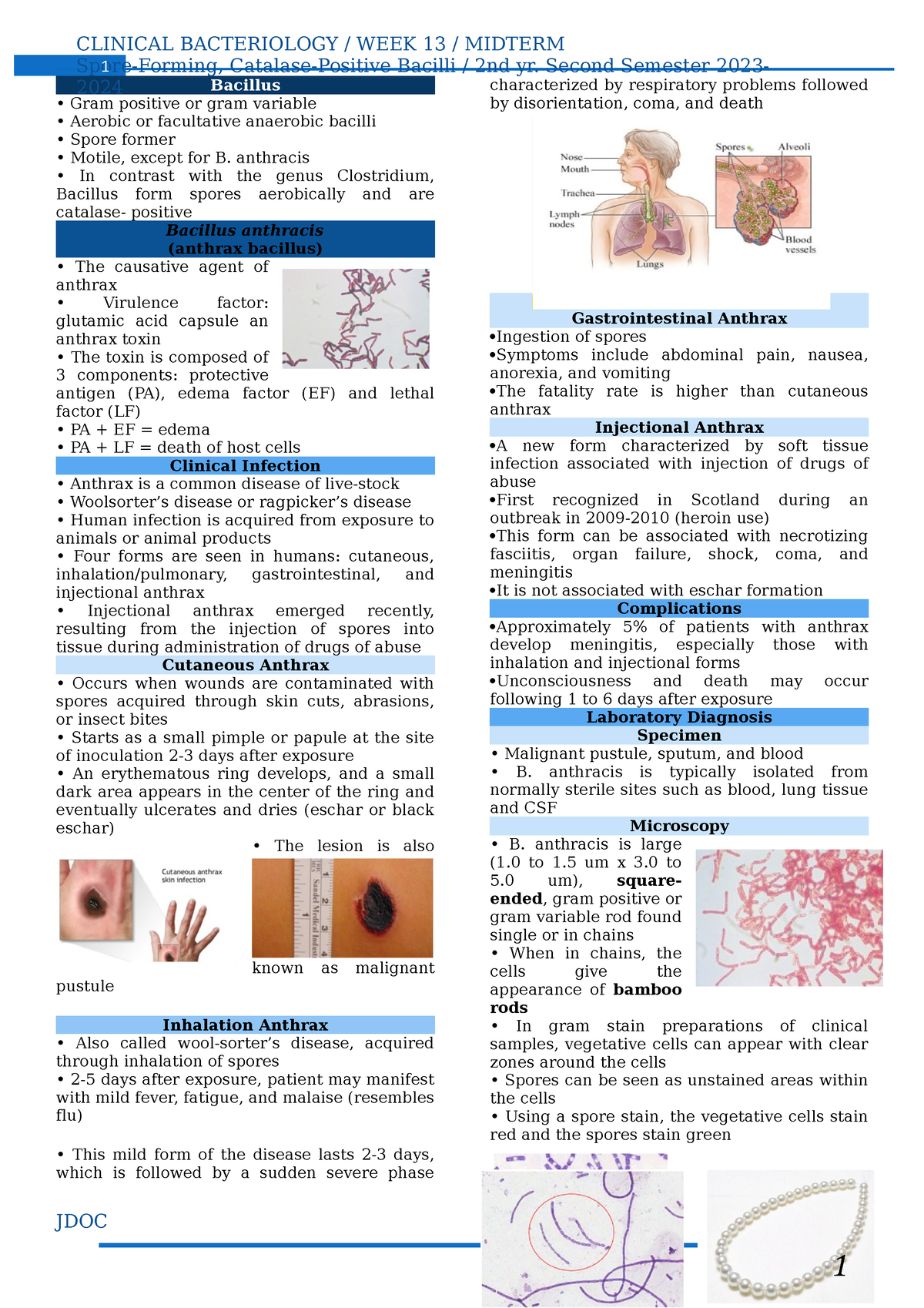 BACT-Week 13 transes- Spore-Forming Gram-Positive Bacilli - Clinical ...