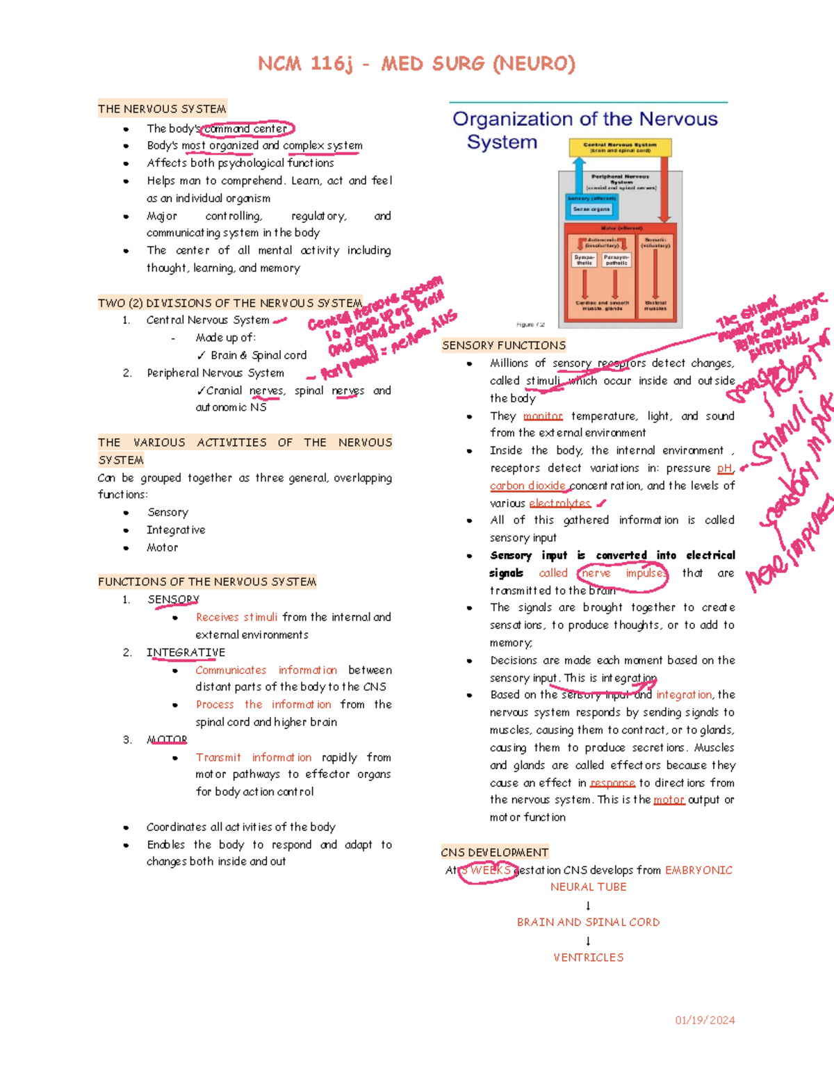 NCM 116j MED SURG Neuro 1 - THE NERVOUS SYSTEM The body’s command ...