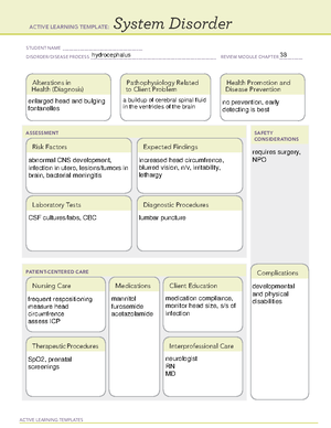 Hypoglycemia ati template - ACTIVE LEARNING TEMPLATES System Disorder ...