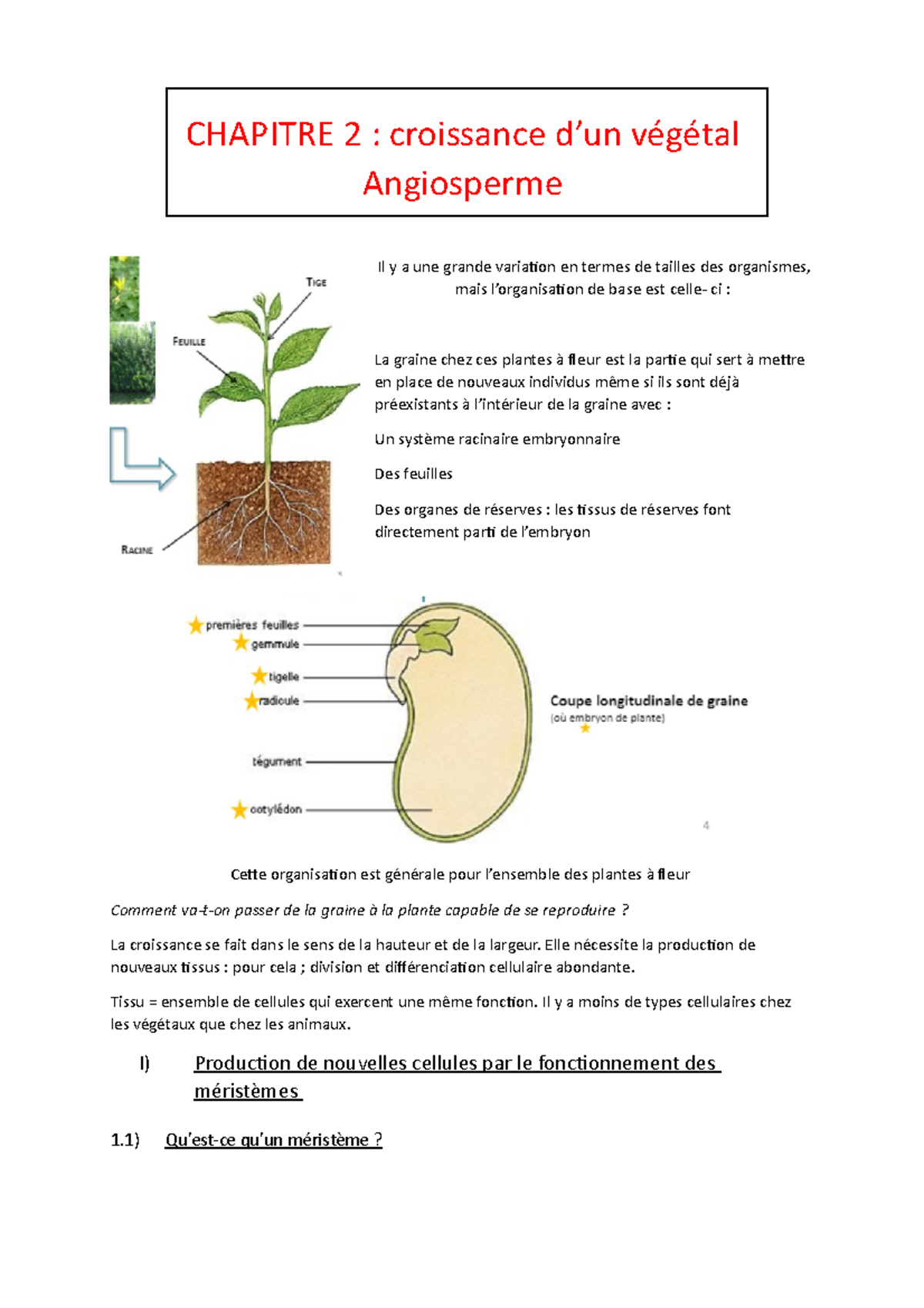 Chapitre 2 Croissance D - CHAPITRE 2 : Croissance D’un Végétal ...