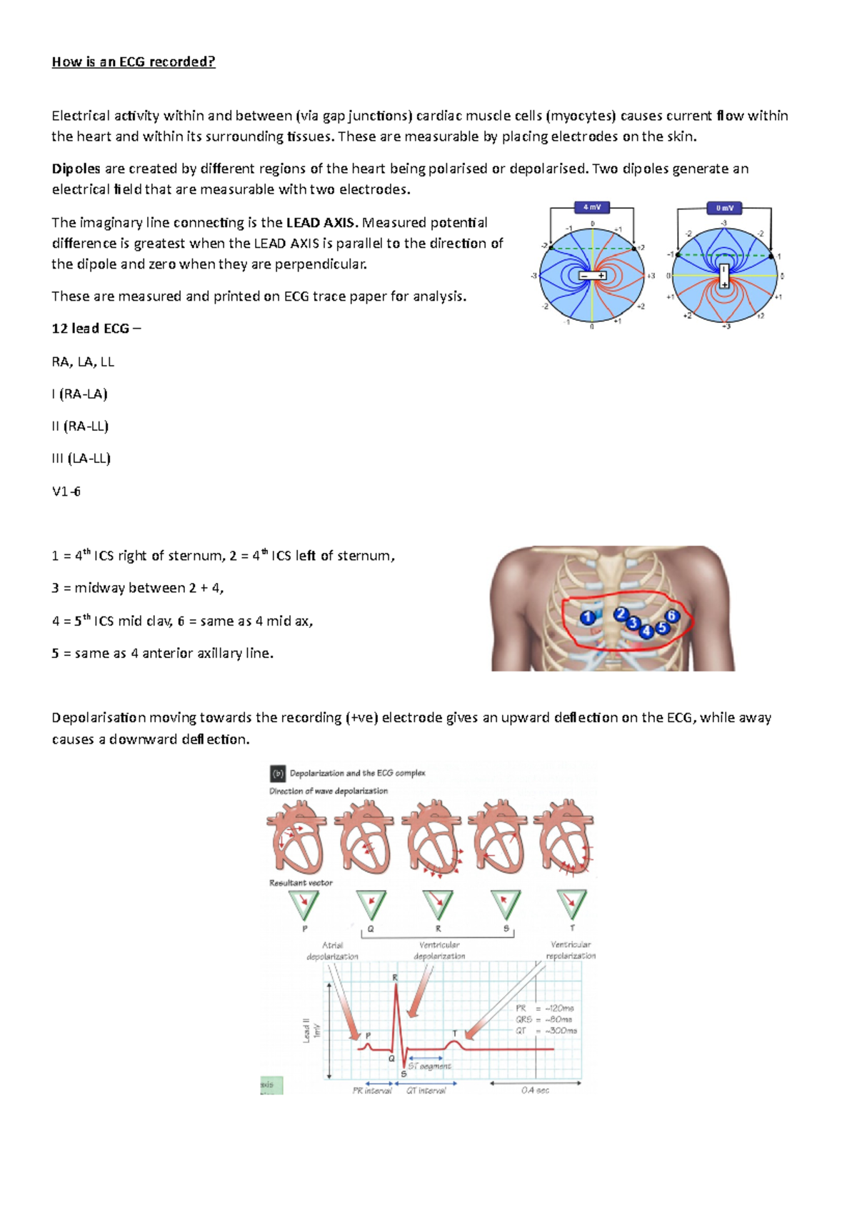 How is an ECG recorded - Brief overview of the entitled topic - How is ...