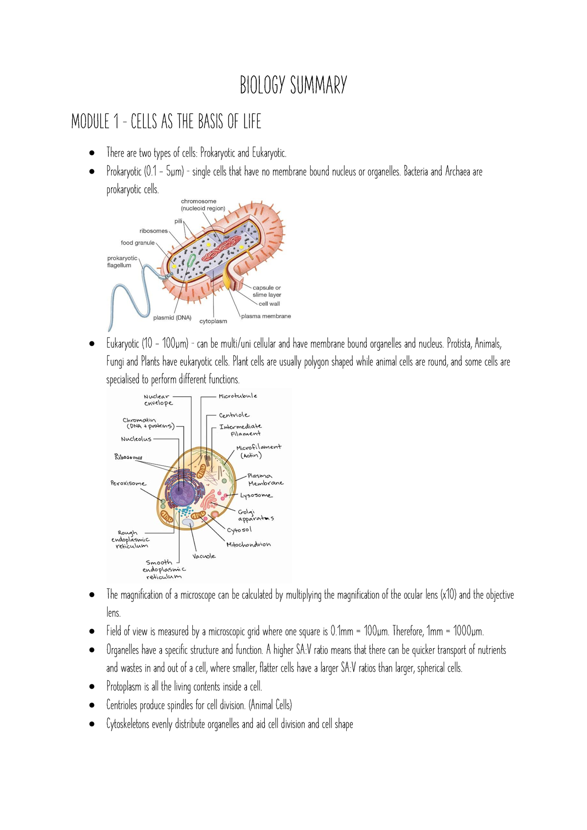 Biology Summary - Band 6 High Quality - BIOLOGY SUMMARY MODULE 1 ...