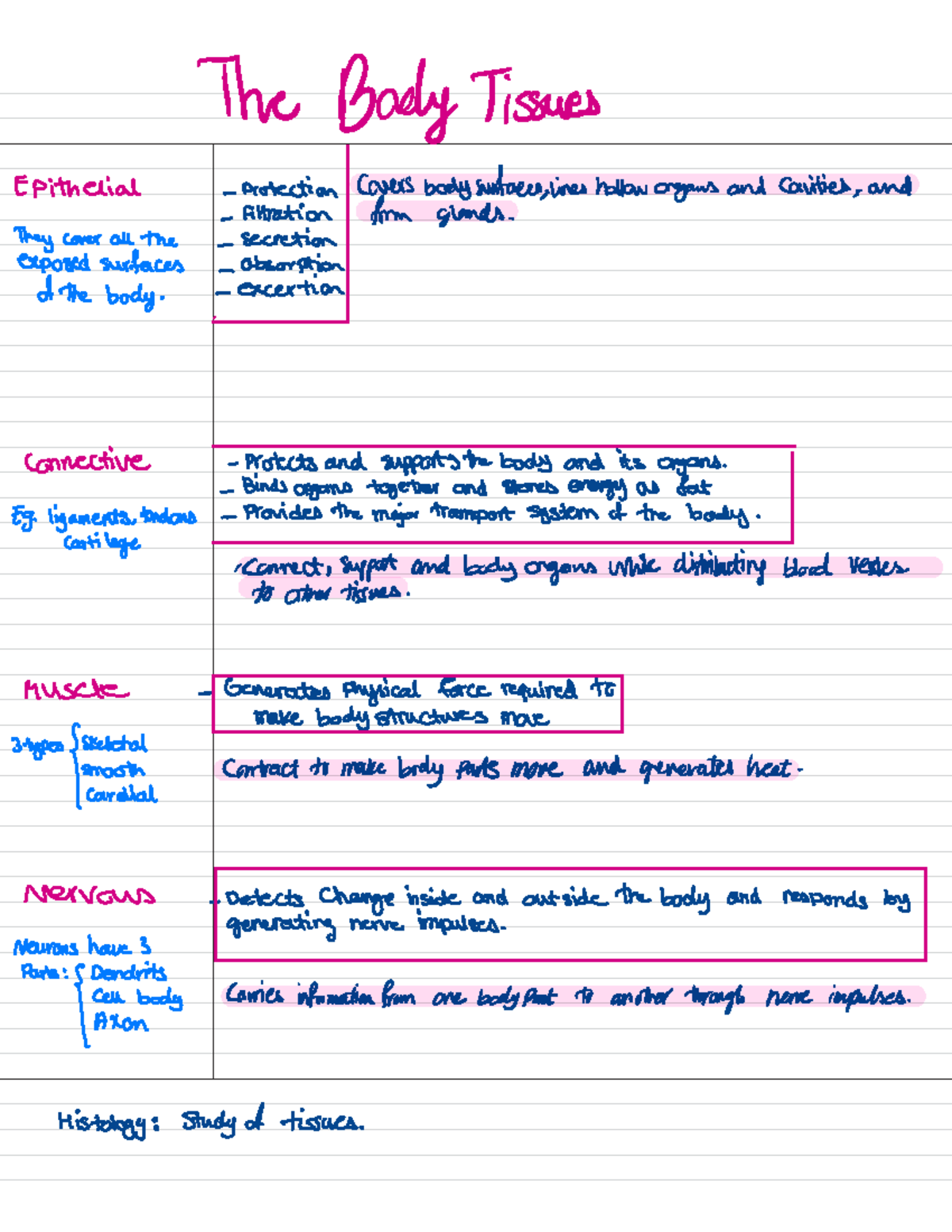 Biosci-107 2 - Notes for biosci 107 - The Body Tissues Epithelial ...