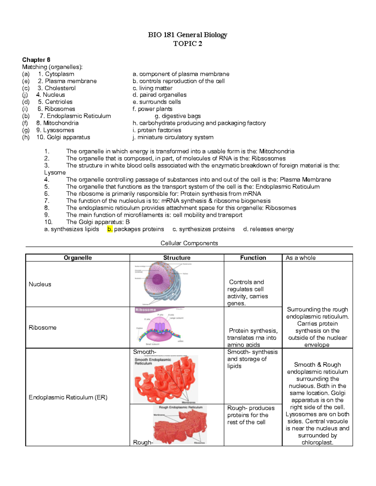 bio-chapter-6-assignment-bio-181-general-biology-topic-2-chapter-6