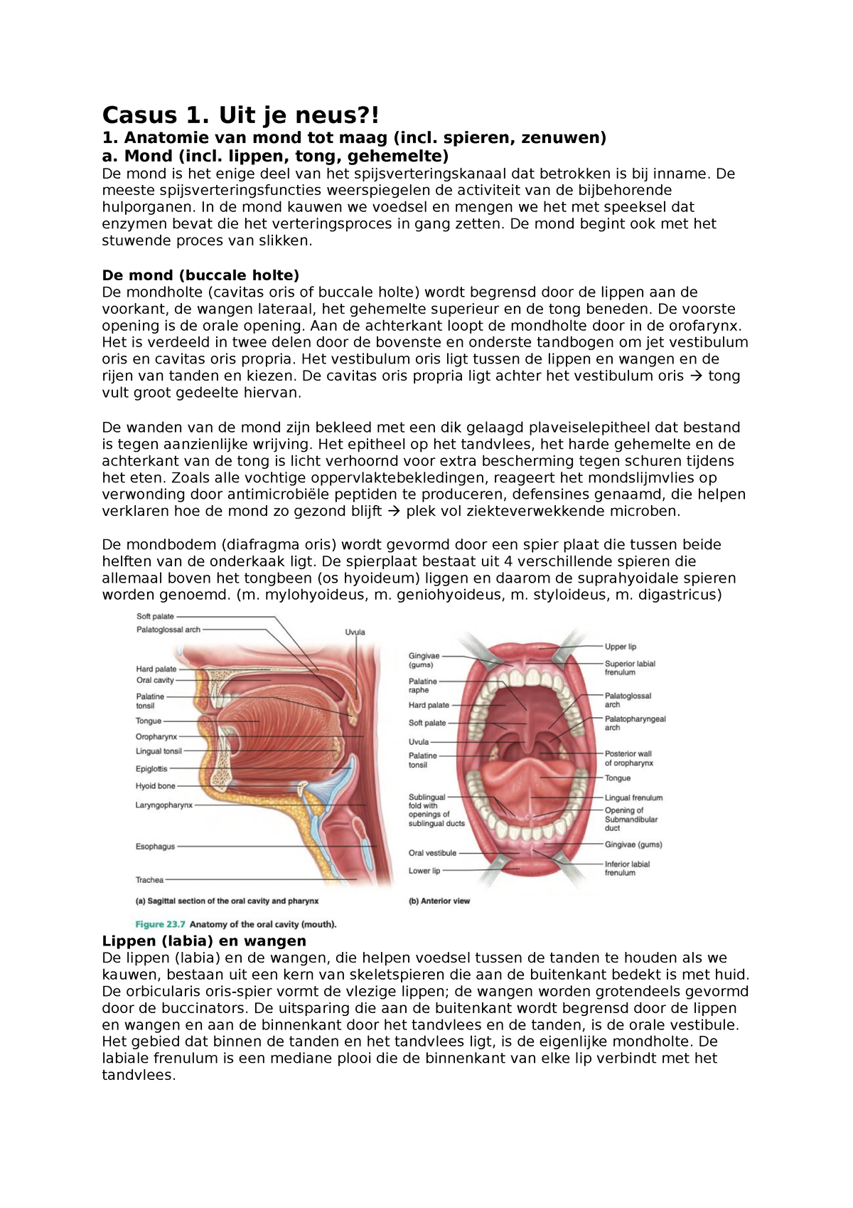 Casus 1. Uit je neus Casus 1. Uit je neus 1. Anatomie van mond