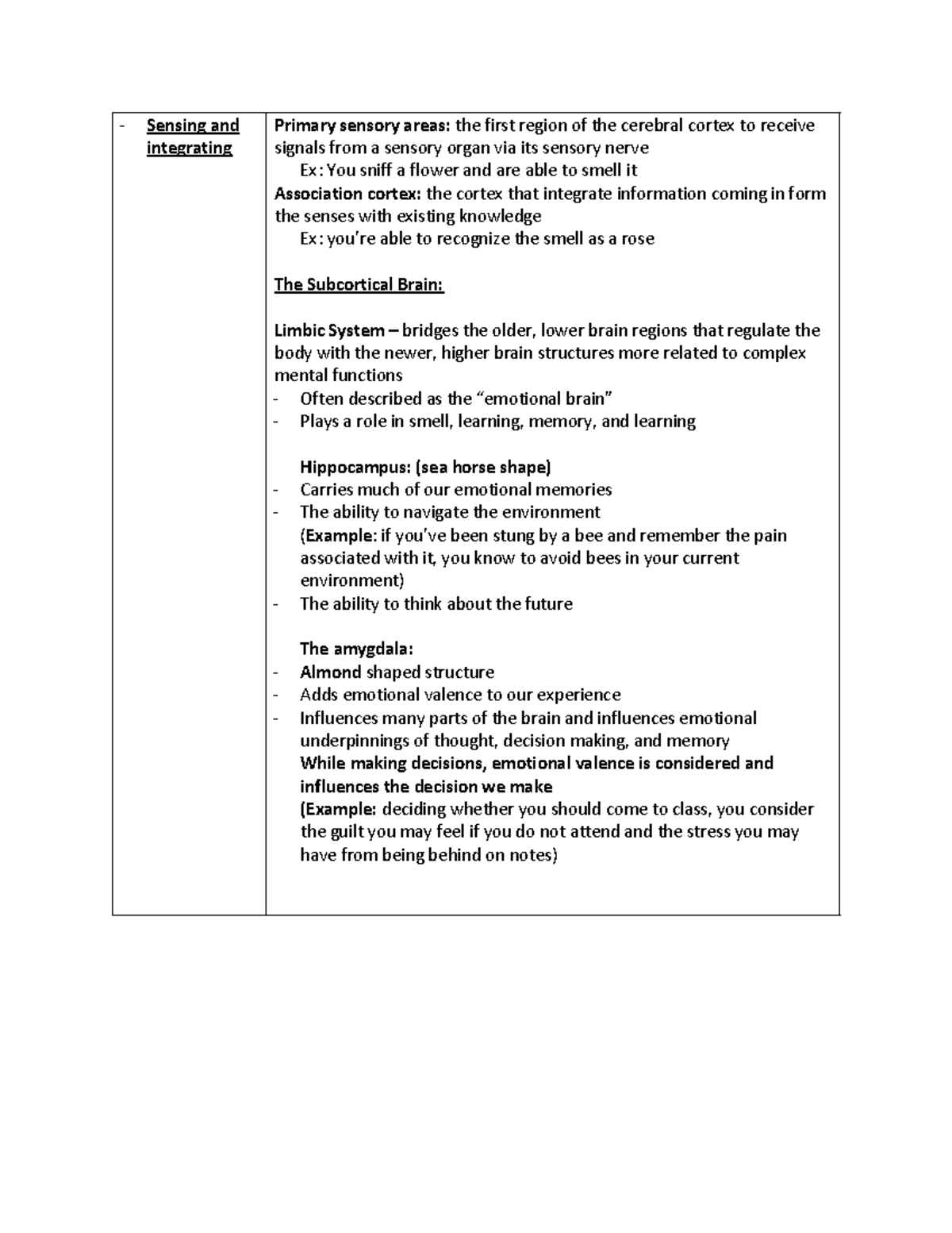 Psyc 101 Chapter 1 - Sensing and integrating Primary sensory areas: the ...