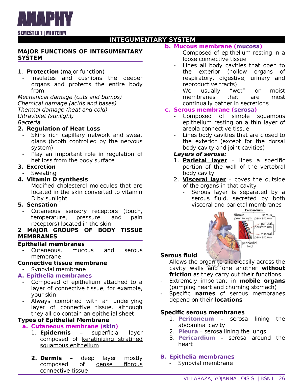 Integumentary System - prelim notes - ANAPHY SEMESTER 1 | MIDTERM ...