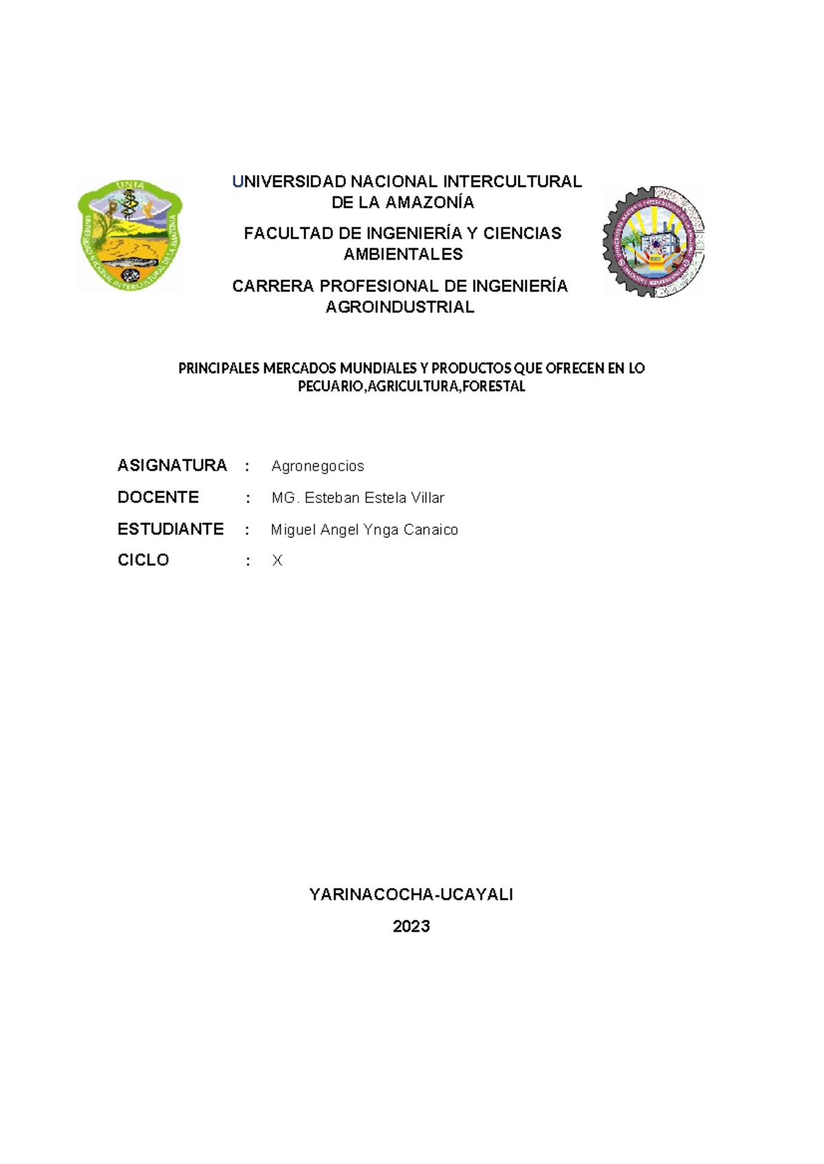 Universidad Nacional Intercultural DE LA Amazonía - UNIVERSIDAD ...