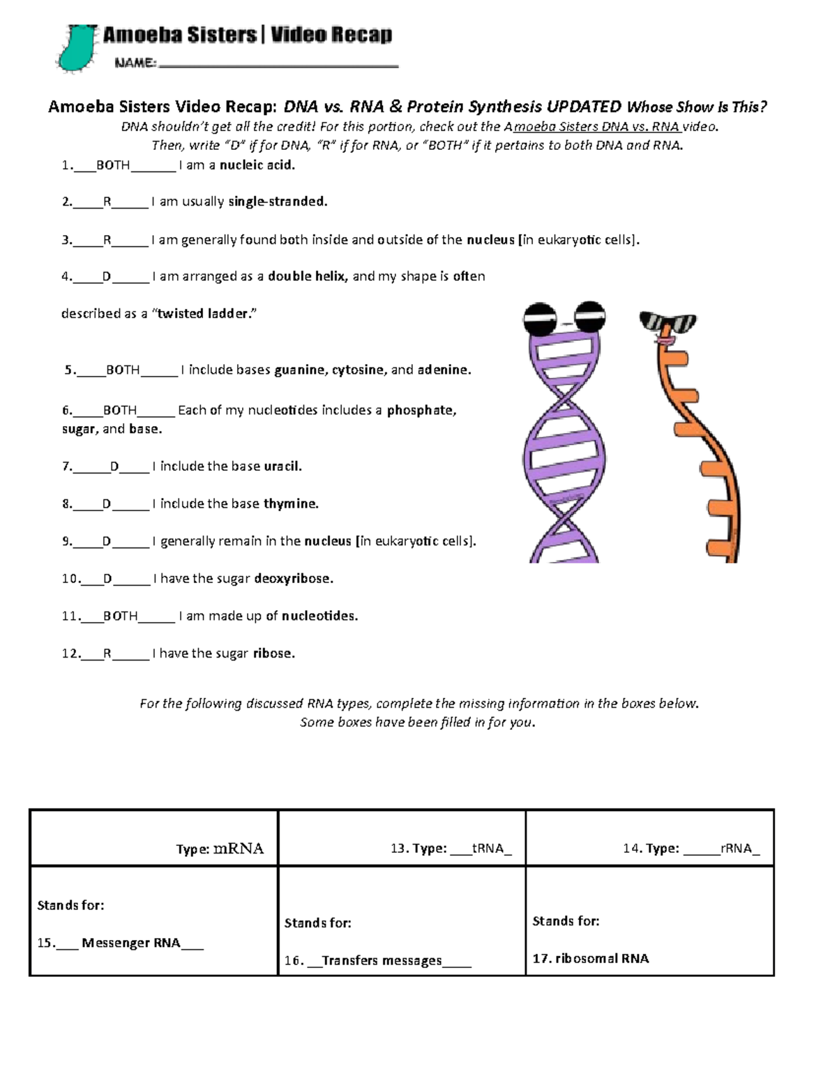 Protein Synthesis Worksheet Amoeba Sisters Video Recap: DNA vs RNA