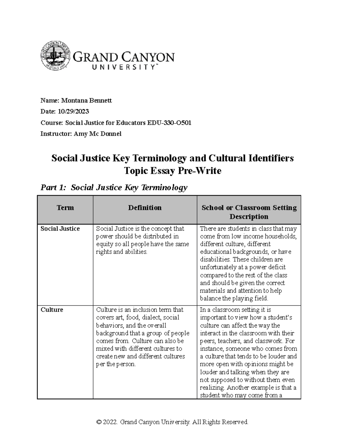 social justice college essay