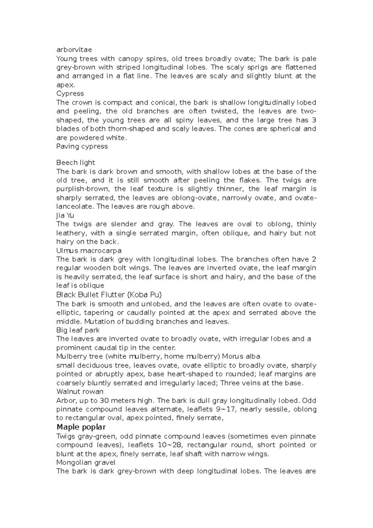 LAT 109 Summary Word Note arborvitae Young trees with canopy spires