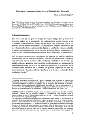 Resumen de hơn 16 artículos: como hacer un convenio regulador [actualizado  recientemente] .vn