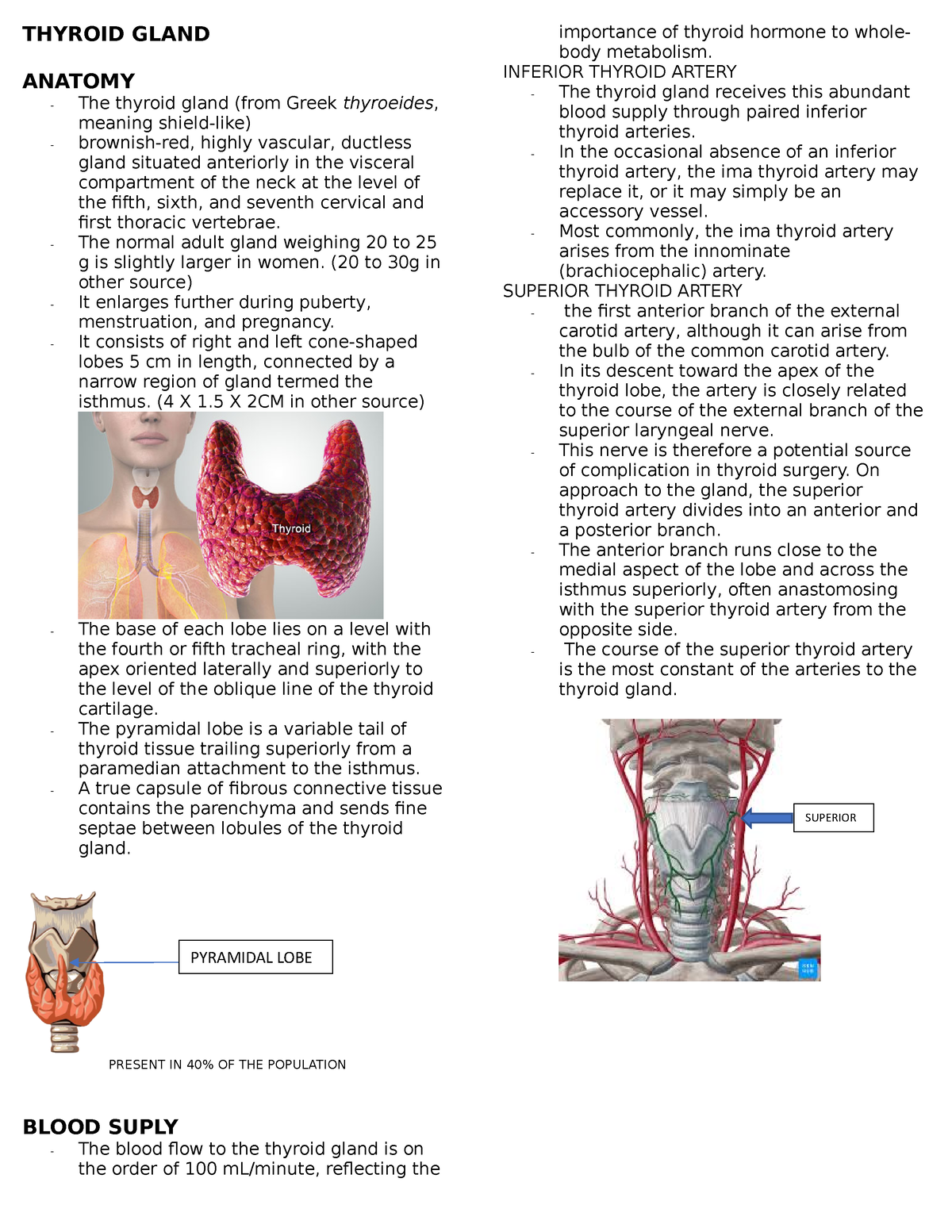 thyroid-gland-thyroid-gland-anatomy-the-thyroid-gland-from-greek