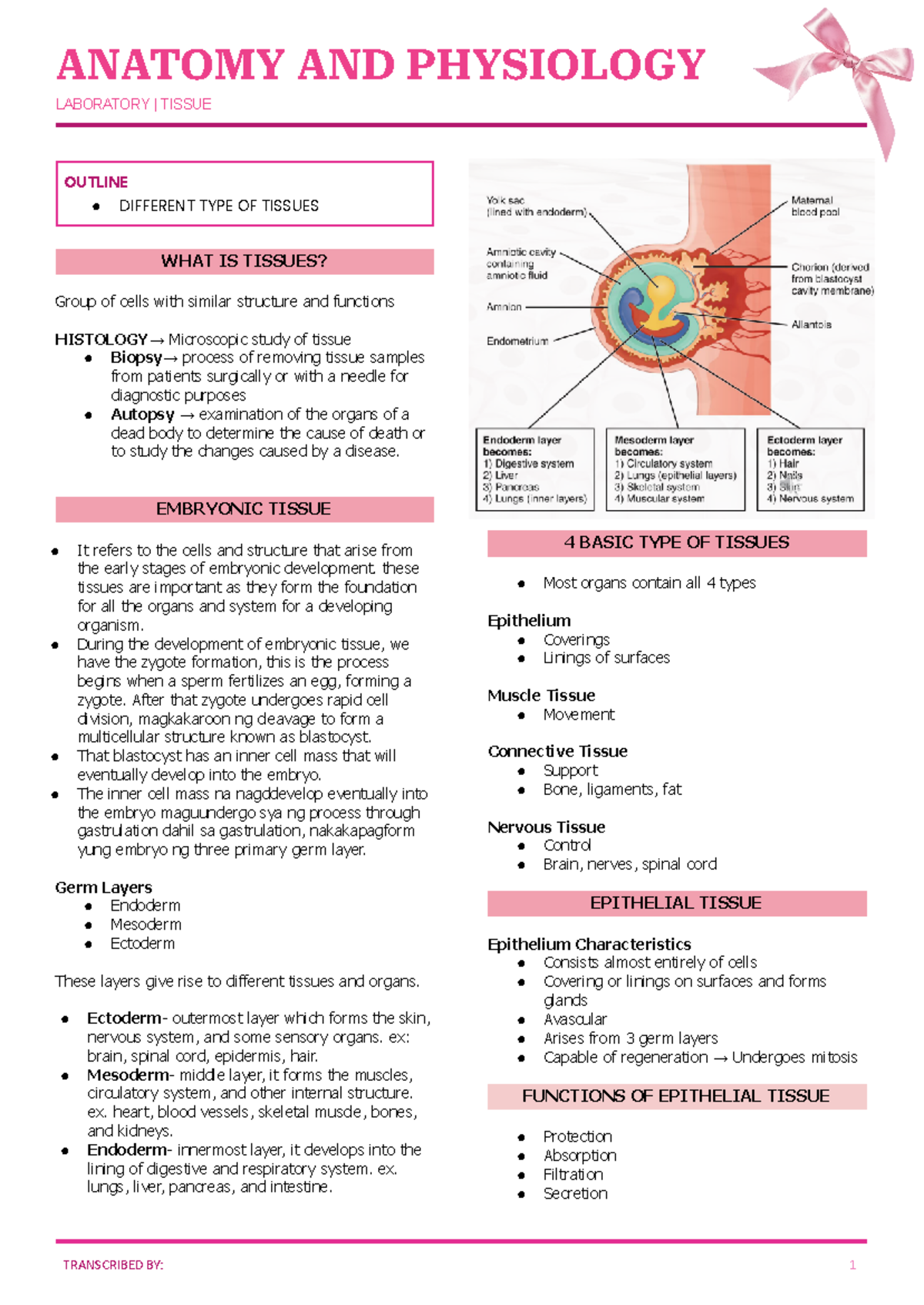 WEEK 2 Happl Tissues - ANATOMY AND PHYSIOLOGY LABORATORY | TISSUE ...