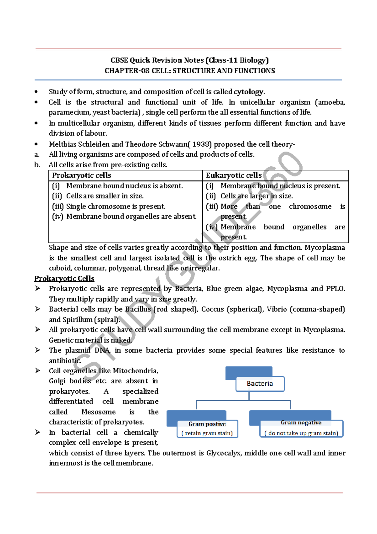 Biology Cell Quizletindex - r4575u3