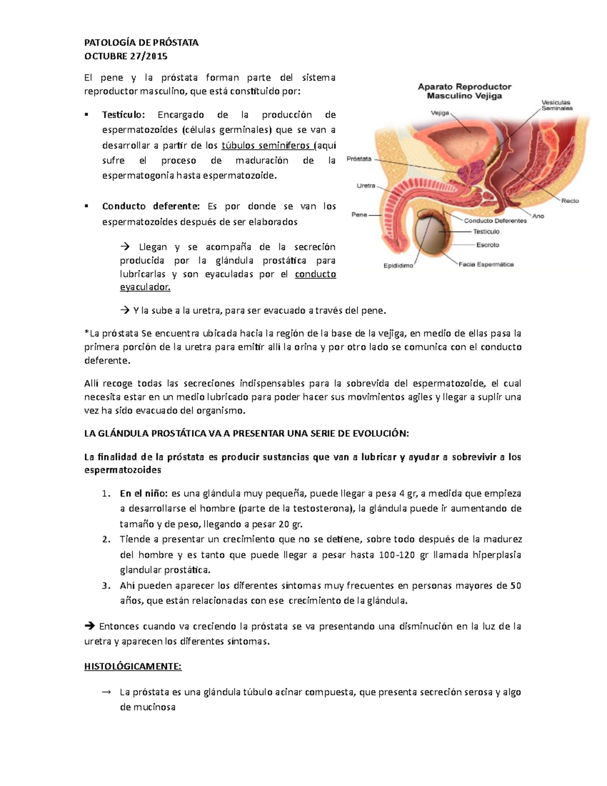 examen de secreción de próstata cómo hacerlo examen de secreción de próstata cómo hacerlo